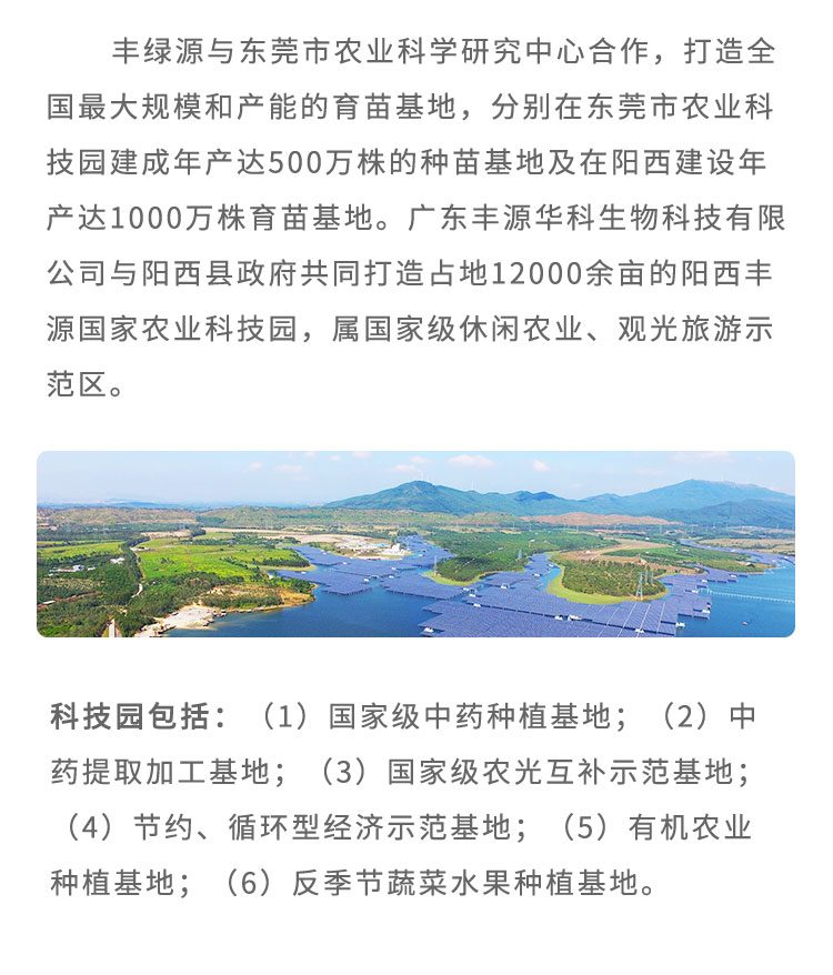 豐綠源與東莞市農(nóng)業(yè)科學(xué)研究中心合作，致力于打造大規(guī)模和產(chǎn)能的育苗基地，分別在東莞市農(nóng)業(yè)科技園建成年產(chǎn)達(dá)500萬株的種苗基地及在陽西建設(shè)年產(chǎn)達(dá)1000萬株育苗基地。廣東豐源華科生物科技有限公司與陽西縣政府共同打造占地12000余畝的陽西豐源國家農(nóng)業(yè)科技園，屬休閑農(nóng)業(yè)、觀光旅游示范區(qū)?？萍紙@包括：（1)中藥種植基地；（2)中藥提取加工基地；（3)農(nóng)光互補(bǔ)示范基地；（4)節(jié)約、循環(huán)型經(jīng)濟(jì)示范基地；（5)有機(jī)農(nóng)業(yè)種植基地；(6)反季節(jié)蔬菜水果種植基地。