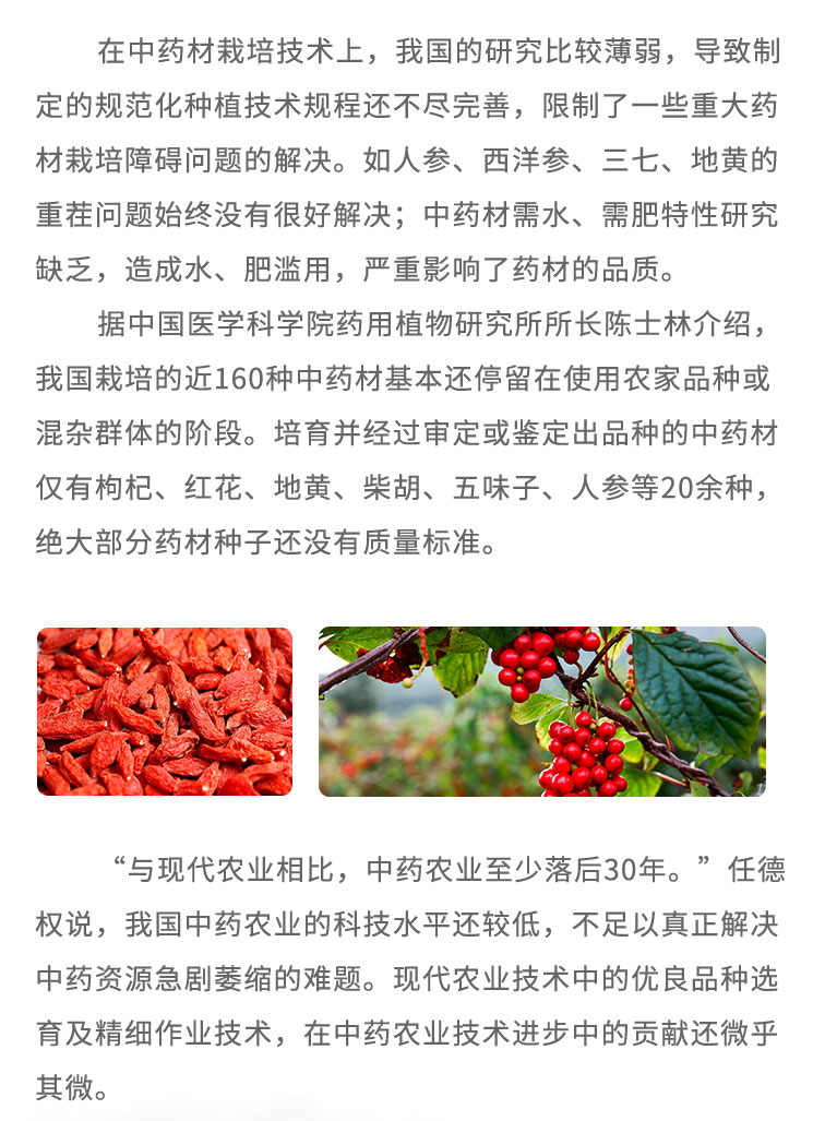 在中藥材栽培技術(shù)上，我國(guó)的研究比較薄弱，導(dǎo)致制定的規(guī)范化種植技術(shù)規(guī)程還不盡完善，限制了- -些重大藥材栽培障礙問題的解決。如人參、西洋參、三七、地黃的重茬問題始終沒有很好解決;中藥材需水、需肥特性研究缺乏，造成水、肥濫用，嚴(yán)重影響了藥材的品質(zhì)。據(jù)中國(guó)醫(yī)學(xué)科學(xué)院藥用植物研究所所長(zhǎng)陳土林介紹，我國(guó)栽培的近160種中藥材基本還停留在使用農(nóng)家品種或濕雜群體的階段。培育并經(jīng)過審定或鑒定出品種的中藥材僅有枸杞、紅花、地黃、柴胡、五味子、人參等20余種，絕大部分藥材種子還沒有質(zhì)量標(biāo)準(zhǔn)?！芭c現(xiàn)代農(nóng)業(yè)相比，中藥農(nóng)業(yè)至少落后30年?！比蔚聶?quán)說，我國(guó)中藥農(nóng)業(yè)的科技水平還較低，不足以真正解決中藥資源急劇菱縮的難題?，F(xiàn)代農(nóng)業(yè)技術(shù)中的優(yōu)良品種選育及精細(xì)作業(yè)技術(shù)，在中藥農(nóng)業(yè)技術(shù)進(jìn)步中的貢獻(xiàn)還微乎其微。