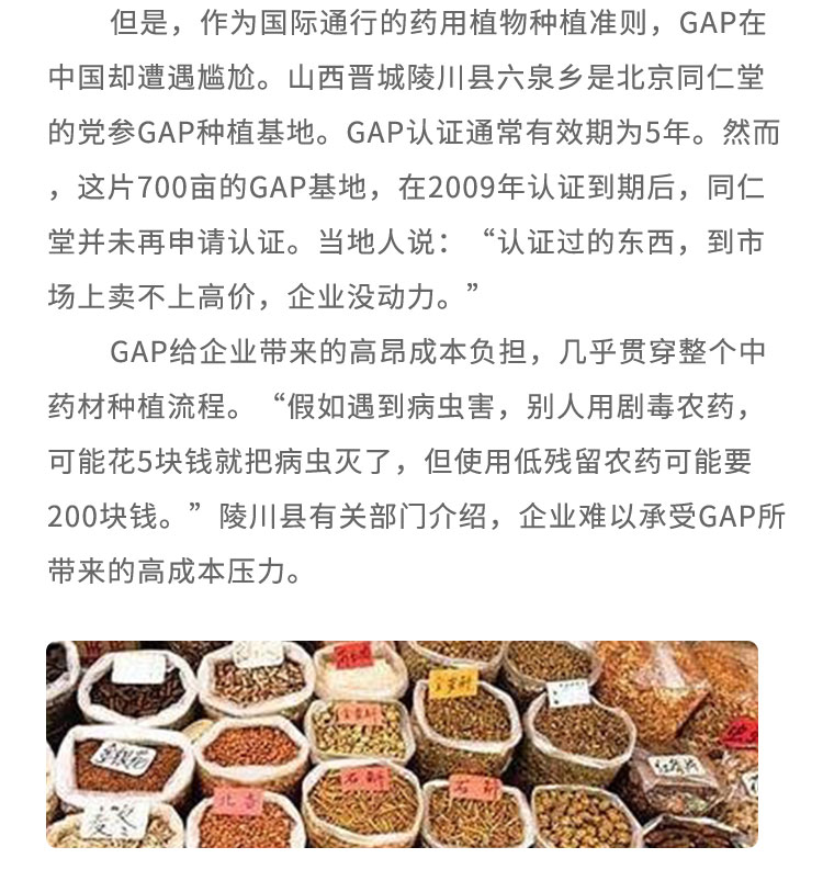 但是，作為國(guó)際通行的藥用植物種植準(zhǔn)則，GAP在中國(guó)卻遭遇尷尬。山西晉城陵川縣六泉鄉(xiāng)是北京同仁堂的黨參GAP種植基地。GAP認(rèn)證通常有效期為5年。然而，這片700畝的GAP基地，在2009年認(rèn)證到期后，同仁堂并未再申請(qǐng)認(rèn)證。當(dāng)?shù)厝苏f:“認(rèn)證過的東西， 到市場(chǎng)上賣不.上高價(jià)，企業(yè)沒動(dòng)力。GAP給企業(yè)帶來的高昂成本負(fù)擔(dān)，幾乎貫穿整個(gè)中藥材種植流程。“假如遇到病蟲害， 別人用劇毒農(nóng)藥，可能花5塊錢就把病蟲滅了，但使用低殘留農(nóng)藥可能要200塊錢。”陵川縣有關(guān)部門介紹，企業(yè)難以承受GAP所帶來的高成本壓力。