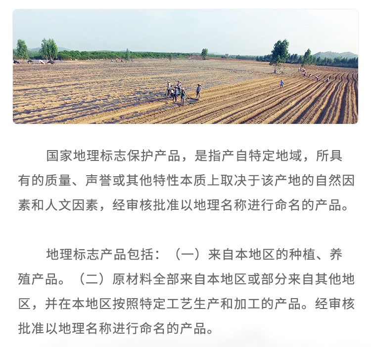 國(guó)家地理標(biāo)志保護(hù)產(chǎn)品，是指產(chǎn)自特定地域，所具有的質(zhì)量、聲譽(yù)或其他特性本質(zhì)上取決于該產(chǎn)地的自然因素和人文因素，經(jīng)審核批準(zhǔn)以地理名稱進(jìn)行命名的產(chǎn)品。地理標(biāo)志產(chǎn)品包括: (一) 來自本地區(qū)的種植、養(yǎng)殖產(chǎn)品。，(二)原材料全部來自本地區(qū)或部分來自其他地區(qū)，并在本地區(qū)按照特定工藝生產(chǎn)和加工的產(chǎn)品。經(jīng)審核批準(zhǔn)以地理名稱進(jìn)行命名的產(chǎn)品。