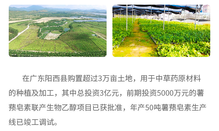 在廣東陽(yáng)西縣購(gòu)置超過(guò)3萬(wàn)畝土地,用于中草藥原材料的種植及加工，其中總投資3億元，前期投資5000萬(wàn)元的薯蕷皂素聯(lián)產(chǎn)生物乙醇項(xiàng)目已獲批準(zhǔn)，年產(chǎn)50噸薯蕷皂素生產(chǎn)線已竣工調(diào)試。