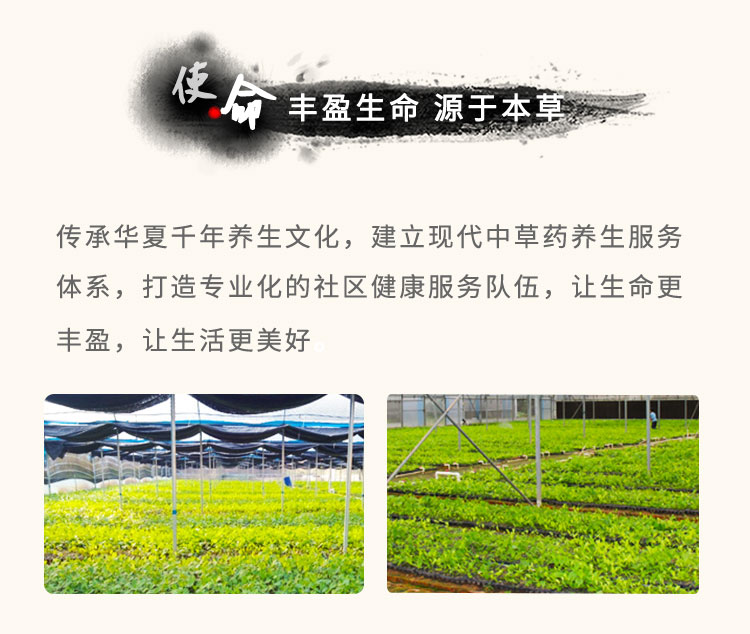 傳承華夏千年養(yǎng)生文化，建立現(xiàn)代中草藥養(yǎng)生服務體系，打造專業(yè)化的社區(qū)健康服務隊伍，讓生命更豐盈，讓生活更美好